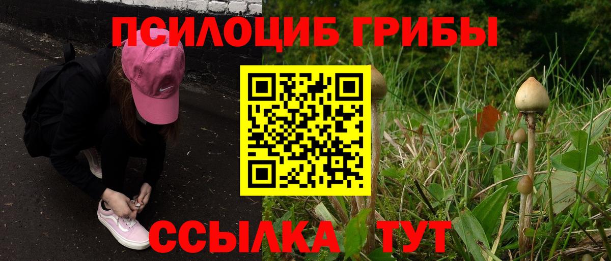 Псилоцибиновые грибы мицелий  Галлюциногенные грибы Psilocybe  Таганрог  Вход с VPN 