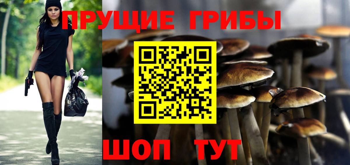 Псилоцибиновые грибы прущие грибы Таганрог